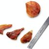 Best Pet Supplies GigaBite Roasted Pig Ears for Dogs Pack of 12-3