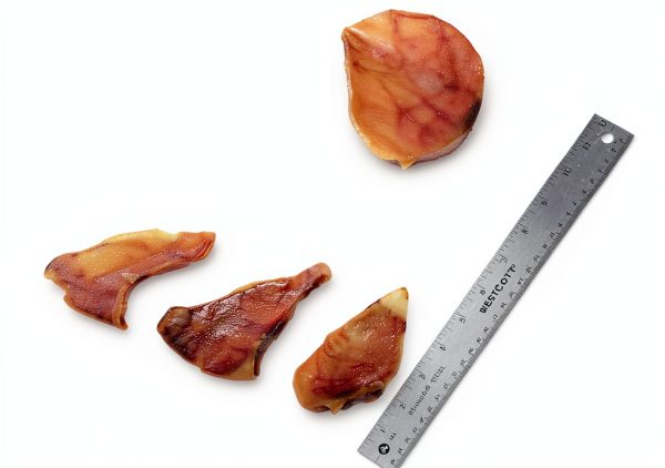 Best Pet Supplies GigaBite Roasted Pig Ears for Dogs Pack of 12-3