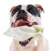 Sitka Farms Whole Cow Ears for Dogs 5 Count Premium Rawhide Free Chew-4