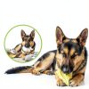 Dog Pig Ears by JOR Slow-Dried High-Protein Pork Chews 6-Piece Pack-3