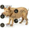 Natural Pig Ears Wood Smoked Dog Chew by Jack's Premium – 6 Ears-3