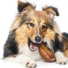 Best Pet Supplies GigaBite Roasted Pig Ears for Dogs Pack of 12-4