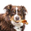 Pet Craft Supply Grass Fed Water Buffalo Ear 16 Count (Pack of 1) Pig Ears for Dogs Alternative Free Range Long Lasting Dog Chew and Treat for Aggressive Chewers and Puppies-4