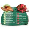 Pig Ears for Dogs Petmex Natural Dog Chews 100 Count Healthy Treats-4