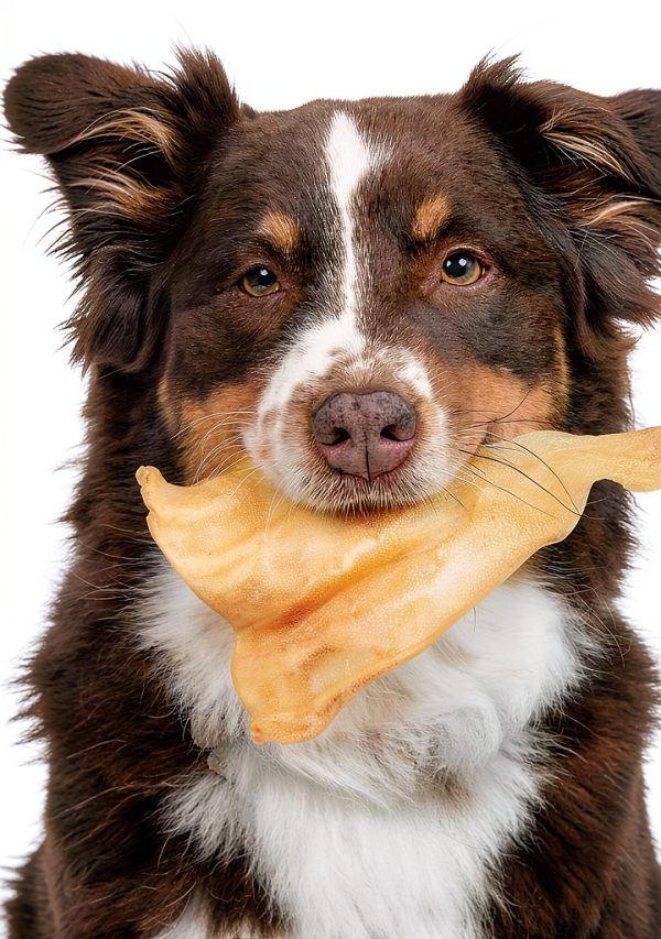 Pet Craft Supply Grass Fed Water Buffalo Ear 16 Count (Pack of 1) Pig Ears for Dogs Alternative Free Range Long Lasting Dog Chew and Treat for Aggressive Chewers and Puppies-1