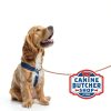Pig Ears for Dogs – Canine Butcher Shop USA Made (30 Count)-1