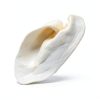 Brazilian Pet Natural Cow Ears for Dogs 50 Pack Over 5in Free-Range-6