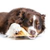 Wild Eats Water Buffalo All Natural Ear Dog Chews, Dog Treats & Snacks - 20 Piece Value Pack (Grain Free Treats - Great Alternative to Pig Ears, Cow Ears, Bones & Rawhides)-5