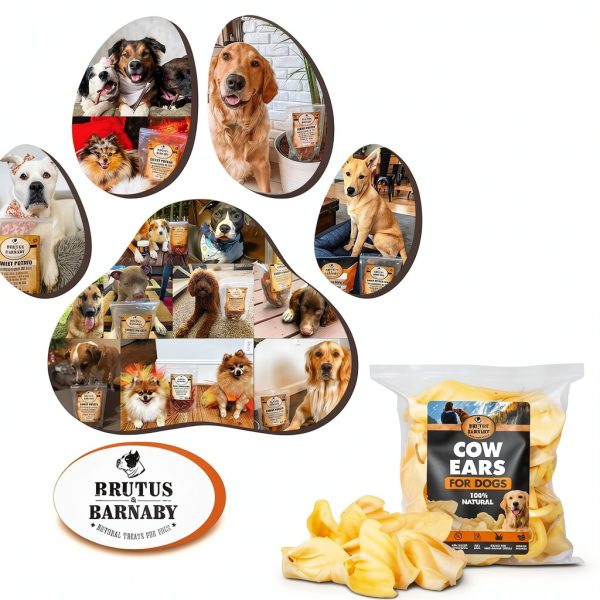 Cow Ears for Dogs – Brutus & Barnaby 12 ct Grass-Fed Angus Beef-8