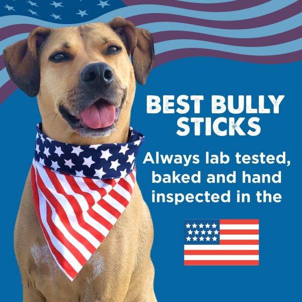 Best Bully Sticks Pig Ears for Dogs 12 Count Natural Full Pig Ears-4