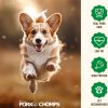Pork Chomps Roasted Pork Skin Dog Chews Ear Shapes 10 Count-4